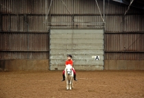 paardrijden-178-copyW